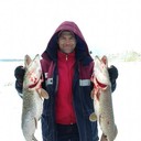 ���������� ������, ���� ������� ������, 38 ���, ������������ ��� ������