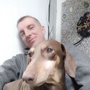 ���������� ����, ���� ������� �������, 44 ����, ������������ ��� ����� � ���������, c�������� ���������