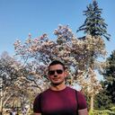 ���������� ������, ���� ������� �����, 38 ���, ������������ ��� ������, ����� � ���������