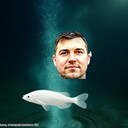 ���������� ���������� �����, ���� ������� �������, 48 ���, ������������ ��� ������, ����� � ���������, ���������