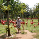  ,   , 53 ,   ,   , c 