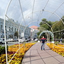 ���������� ���������, ���� ������� ��, 49 ���, ������������ ��� ������, ����� � ���������, c�������� ���������