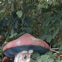 ���������� ������, ���� ������� ����, 50 ���, ������������ ��� ������, ����� � ���������, ���������