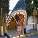 ���������� ����, ���� ������� ������, 54 ����, ������������ ��� ������, ����� � ���������, c�������� ���������