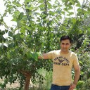  ,   CEMIL, 36 ,   ,   , c 