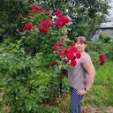  ,   Nata, 50 ,     , c , 