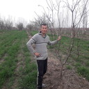  ,   , 35 ,   ,   , 