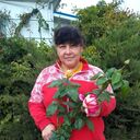  ,   , 53 ,   c , 