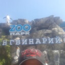 ���������� ����, ���� ������� ���������, 38 ���, ������������ ��� ������, ����� � ���������