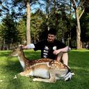 ���������� �����, ���� ����� �������, 24 ����, ������������ ��� ������, ���������