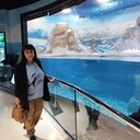  ,   , 55 ,   ,   