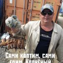 ���������� ��������������, ���� ������� �����, 46 ���, ������������ ��� ������, ����� � ���������, c�������� ���������