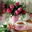  ,   , 66 ,   ,   