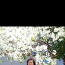  ,   , 52 ,   ,   