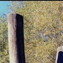 ���������� �����������, ���� ������� �����, 45 ���, ������������ ��� ������, ����� � ���������