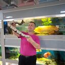 ���������� ������, ���� ������� ��������, 45 ���, ������������ ��� ������, ����� � ���������