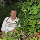  ,   , 61 ,   