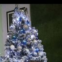 ���������� �����-���������, ���� ������� �����, 39 ���, ������������ ��� ������, ����� � ���������, c�������� ���������