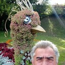 ���������� ������, ���� ������� �����, 47 ���, ������������ ��� ������, ����� � ���������