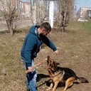  ,   Dvs, 44 ,     , c 