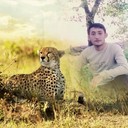 ���������� �����-���������, ���� ������� ����, 36 ���, ������������ ��� ������, ����� � ���������, c�������� ���������