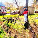 ���������� ������, ���� ����� ����, 24 ����, ������������ ��� ������, ����� � ���������