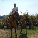 ���������� ����, ���� ������� Lan13, 48 ���, ������������ ��� ������, ����� � ���������, c�������� ���������