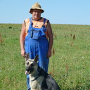 ���������� ������, ���� ������� �������, 63 ����, ������������ ��� ������, ����� � ���������, c�������� ���������, ���������