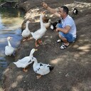 ���������� �������, ���� ������� ������, 41 ���, ������������ ��� c�������� ���������