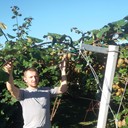  ,   , 40 ,   ,   , c 