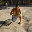 ���������� ������ ���, ���� ������� ����, 45 ���, ������������ ��� ������, ����� � ���������, c�������� ���������