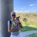 ���������� �����-���������, ���� ������� ����, 54 ����, ������������ ��� c�������� ���������