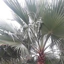  ,   , 52 ,     , c 