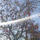 ���������� �����, ���� ������� ����, 36 ���, ������������ ��� ������, ����� � ���������, c�������� ���������, ���������