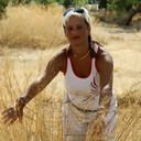  ,   , 54 ,   