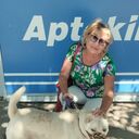 ���������� ���������, ���� ������� ����, 50 ���, ������������ ��� ������, ����� � ���������