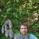 ���������� ����, ���� ������� ����, 36 ���, ������������ ��� ������, ����� � ���������, c�������� ���������, ���������