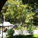 ���������� ������, ���� ������� Gio, 40 ���, ������������ ��� ������, ����� � ���������, c�������� ���������