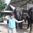  ,   Alla, 66 ,   ,   , c 