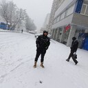 ���������� ������, ���� ������� Sherhon, 41 ���, ������������ ��� ������, ����� � ���������