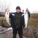 ���������� �����������, ���� ������� ������, 46 ���, ������������ ��� ������, ����� � ���������, c�������� ���������