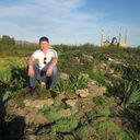 ���������� ������, ���� ������� ������, 38 ���, ������������ ��� ������, ����� � ���������, c�������� ���������