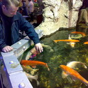 ���������� ������, ���� ������� �������, 48 ���, ������������ ��� ����� � ���������, c�������� ���������