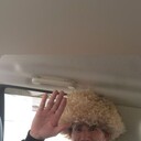  ,   , 57 ,   ,   