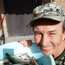  ,   , 61 ,     , c , 