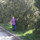 ���������� ����������, ���� ������� �������, 61 ���, ������������ ��� ������, ����� � ���������, c�������� ���������