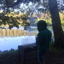 ���������� �����, ���� ������� VLADIMIR, 32 ����, ������������ ��� ������, ����� � ���������, c�������� ���������