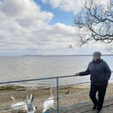  ,   , 60 ,   ,   