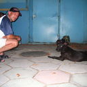 ���������� �����, ���� ������� ������, 55 ���, ������������ ��� ������