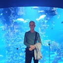 ���������� ������, ���� ������� �������, 63 ����, ������������ ��� c�������� ���������